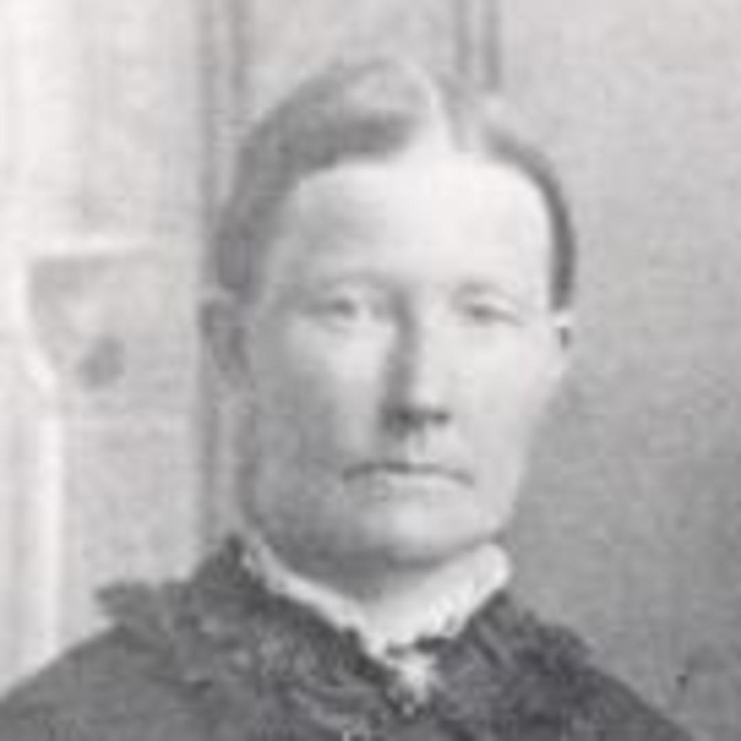 Bolette Petronelle Svendsen Nielsen (1841 - 1902) Profile